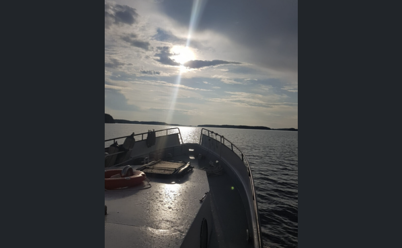 Omavalmiste Muu malli-kuva-1